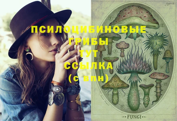 ешки Белоозёрский